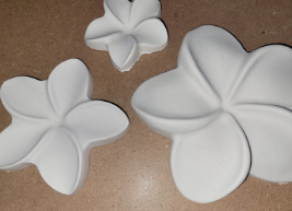 Frangipani Assorted
